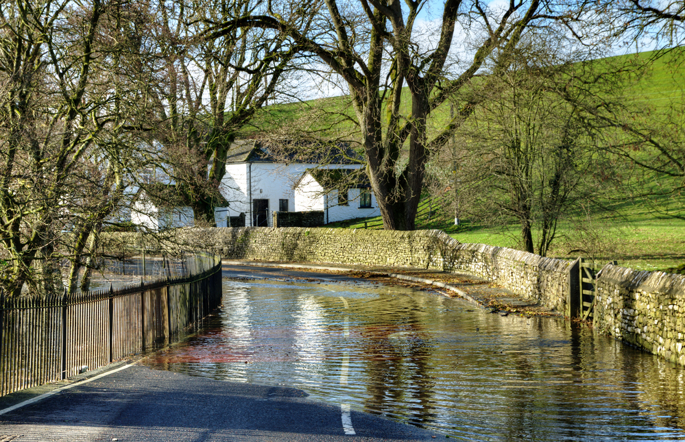 Mikeaceofspades's tweet photo. Did you know?

#Trees are a natural defence against #flooding...

They absorb excess rainwater and make the soil more permeable, slowing and regulating the flow of water. https://t.co/1abbS0xb8c