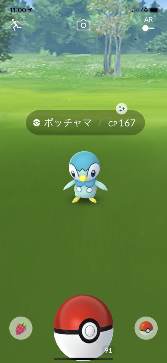 ポケモンgo速報 ポッチャマ色違いが出現開始 コミュニティデイ開始後の様子 ポケモンgo攻略まとめ速報