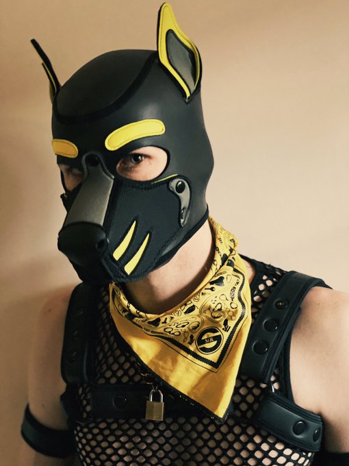 NEW PROFILE PIC! https://t.co/7ziSgNkztO<a href="/tag/humanpup"class="tags"><span>#humanpup</span></a>