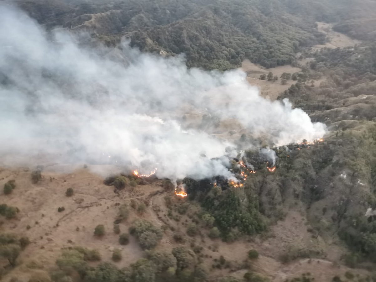 UMPCyBZ's tweet photo. #AlMomento

Trabajamos, desde poco después de las 18:45 horas, en el combate de un #IncendioForestal dentro del Área Natural Protegida del @BosquePrimavera, en conjunto con personal del OPD, de @SemadetJal y @CONAFOR, sumando 40 combatientes ya en el sitio. https://t.co/gLVpsCLu5e