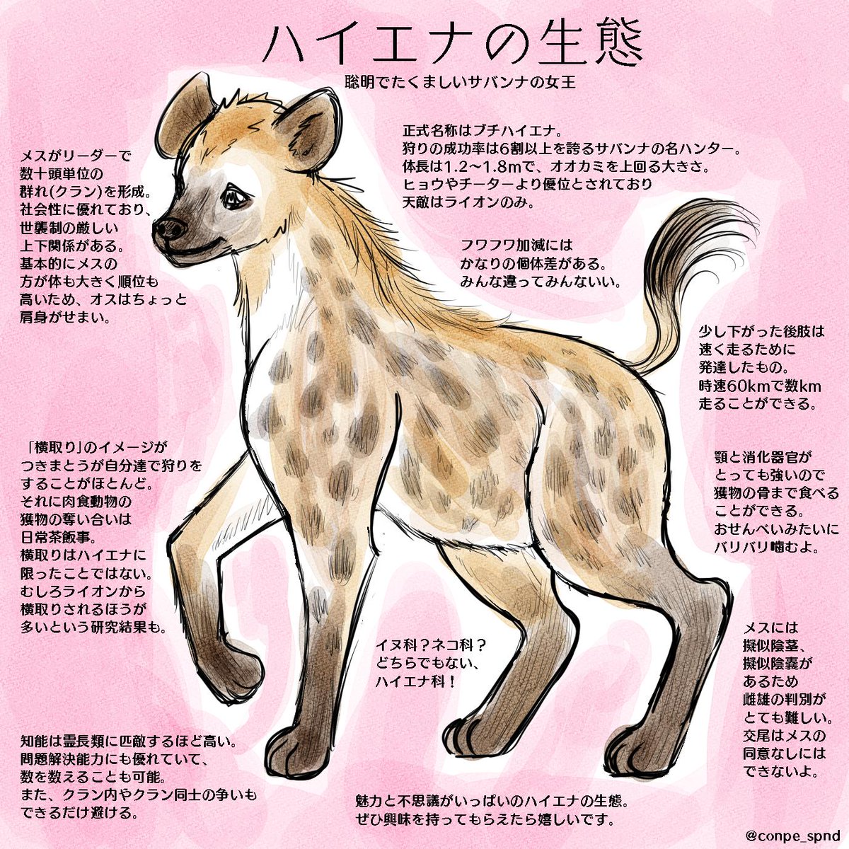 子ども科学電話相談 0119 ハイエナのリーダーのメスはおちんちんがあるって本当 先生の答え 実際そうなんです 2ページ目 Togetter 子ども科学電話相談 0119 ハイエナのリーダーのメスはおちんちんがあるって本当 先生の答え 実際そうなんです 2ページ目 Togetter