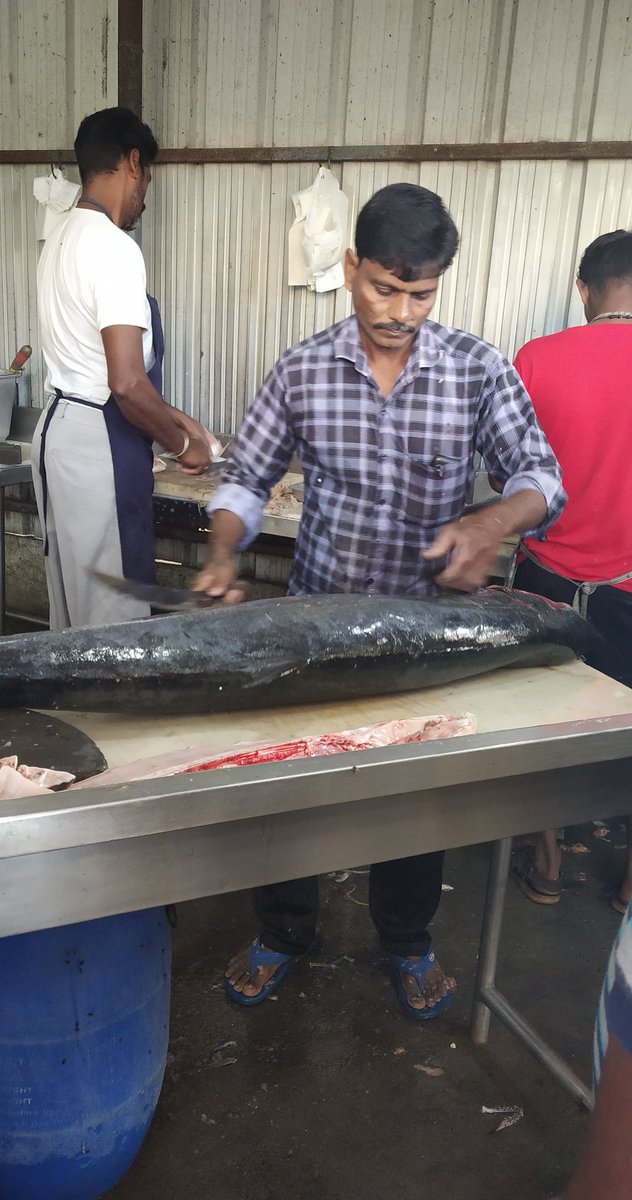 love4charts's tweet photo. A perfect Sunday morning! 😁
Pic 1: Elliots beach at 7am
Pic 2: A 20 kg #vanjaram fish https://t.co/nqVm3kwOAg