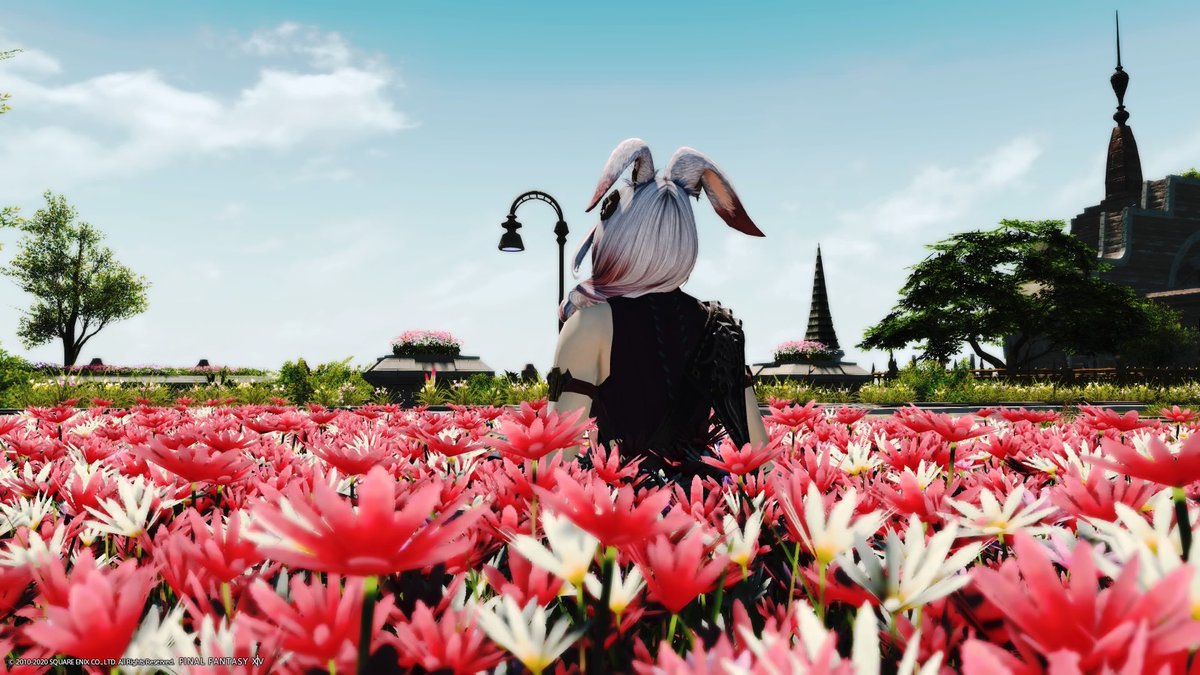 ascianpotato's tweet image. "𝕋𝕙𝕖 𝕄𝕠𝕥𝕙𝕖𝕣 ℂ𝕣𝕪𝕤𝕥𝕒𝕝 𝕔𝕙𝕠𝕤𝕖𝕟... 𝔹𝕝𝕖𝕤𝕤𝕖𝕕 𝕓𝕪 𝕥𝕙𝕖 𝕃𝕚𝕘𝕙𝕥, 𝕖𝕞𝕓𝕣𝕒𝕔𝕖𝕕 𝕓𝕪 𝕥𝕙𝕖 𝔻𝕒𝕣𝕜𝕟𝕖𝕤𝕤"

Luna Caellum &amp;lt;&amp;lt;The Heart's Beat&amp;gt;&amp;gt;
Warrior of Light/Darkness, Scion

#FFXIVRP #FFRP