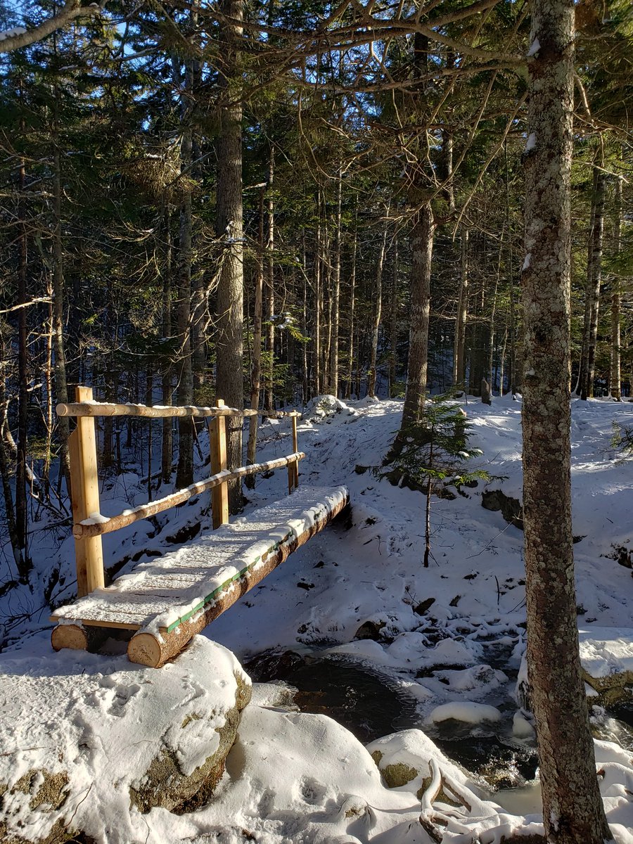 dragonflyhiker's tweet image. Out for #hike3 in the #52hikechallenge2020. A crisp -10 C I walked into Hobson Lake in the Blue Mountain Birch Cove Lake Wilderness. Gorgeous park and a great day to be out.  #ExploreNovaScotia #getoutsidens #ExploreHalifax #HikeNS #hiking #trails #52HikeChallenge  #FBMBCL