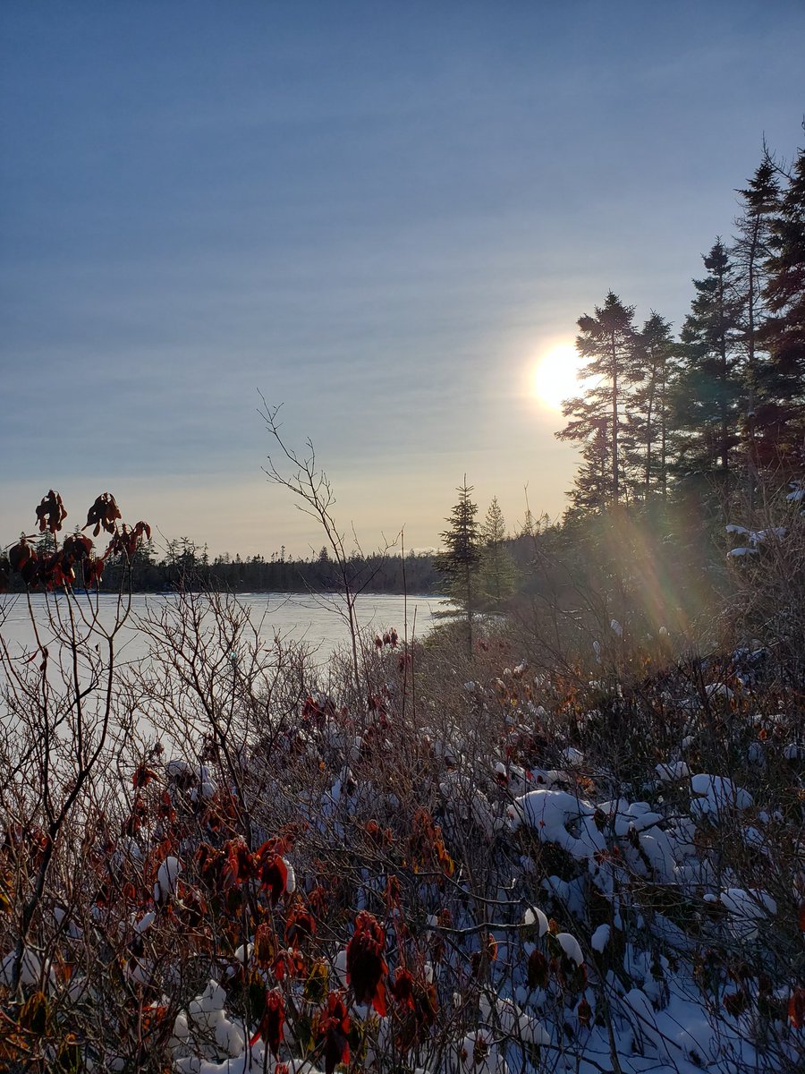 dragonflyhiker's tweet image. Out for #hike3 in the #52hikechallenge2020. A crisp -10 C I walked into Hobson Lake in the Blue Mountain Birch Cove Lake Wilderness. Gorgeous park and a great day to be out.  #ExploreNovaScotia #getoutsidens #ExploreHalifax #HikeNS #hiking #trails #52HikeChallenge  #FBMBCL