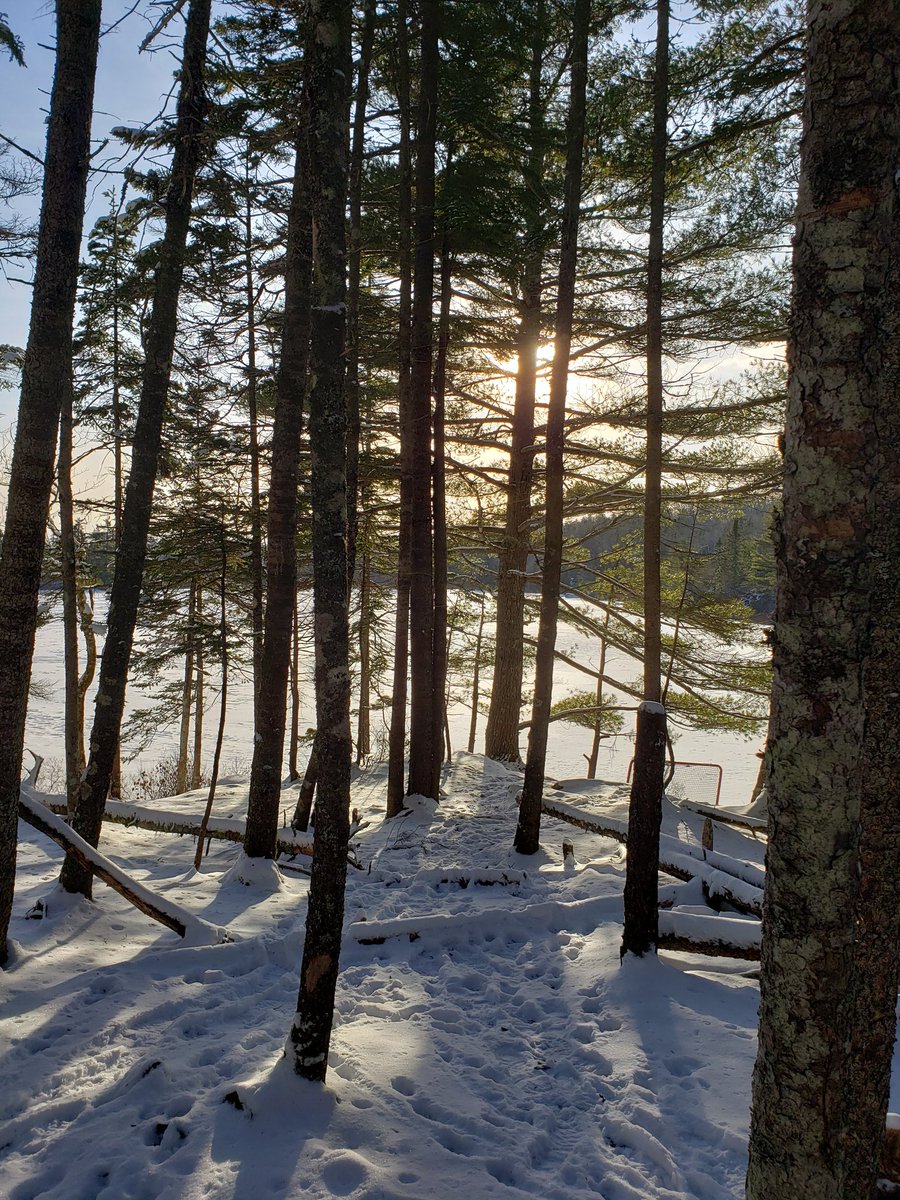 dragonflyhiker's tweet image. Out for #hike3 in the #52hikechallenge2020. A crisp -10 C I walked into Hobson Lake in the Blue Mountain Birch Cove Lake Wilderness. Gorgeous park and a great day to be out.  #ExploreNovaScotia #getoutsidens #ExploreHalifax #HikeNS #hiking #trails #52HikeChallenge  #FBMBCL
