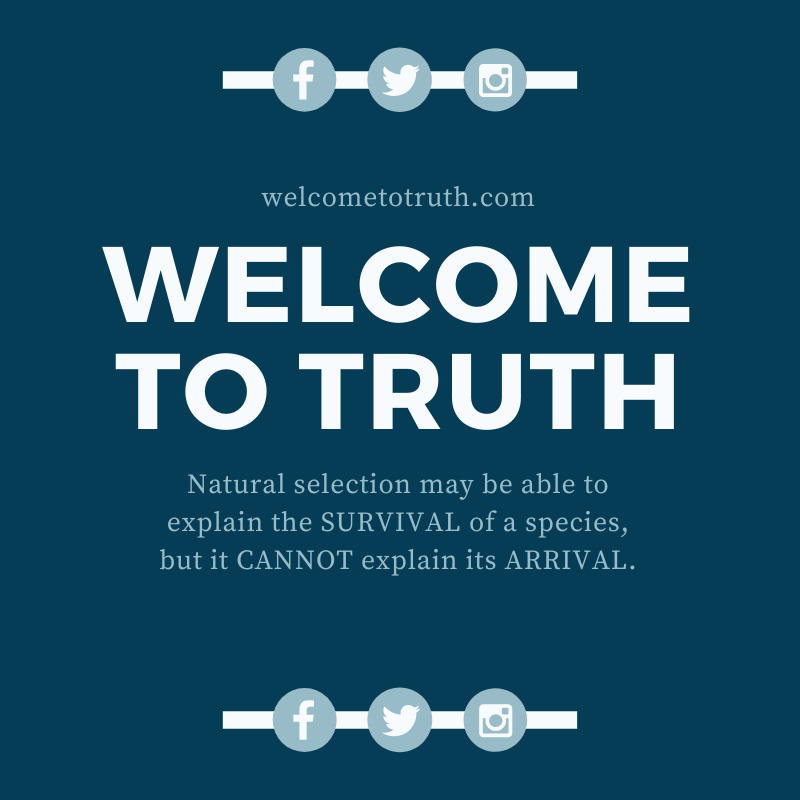 WelcomeToTruth_'s tweet photo. Natural Selection May Be Able to Explain the SURVIVAL of a Species, BUT NOT Its ARRIVAL. #WelcomeToTruth #ChristianApologetics #Apologetics #EvolutionIsFalse https://t.co/QYLYp9YZIZ