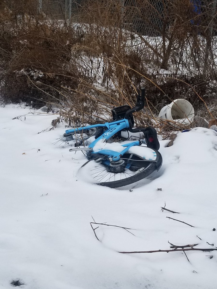PO_Potatoes's tweet photo. Though they are put on #Chicago's #endangeredspecieslist, @DivvyBikes are still found throughout the Chicago wilderness.
Here we see one in a peaceful daytime slumber attempting to camouflage itself with the snow.
#FreeDivvy #rideordie #winternap #hybernation https://t.co/8XVOO18toh
