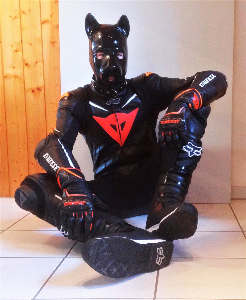FunkyRider2's tweet photo. Wruff.... bitte einmal unartig🐕 https://t.co/yU4KSAMWYt