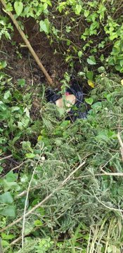 Ver imagen en Twitter