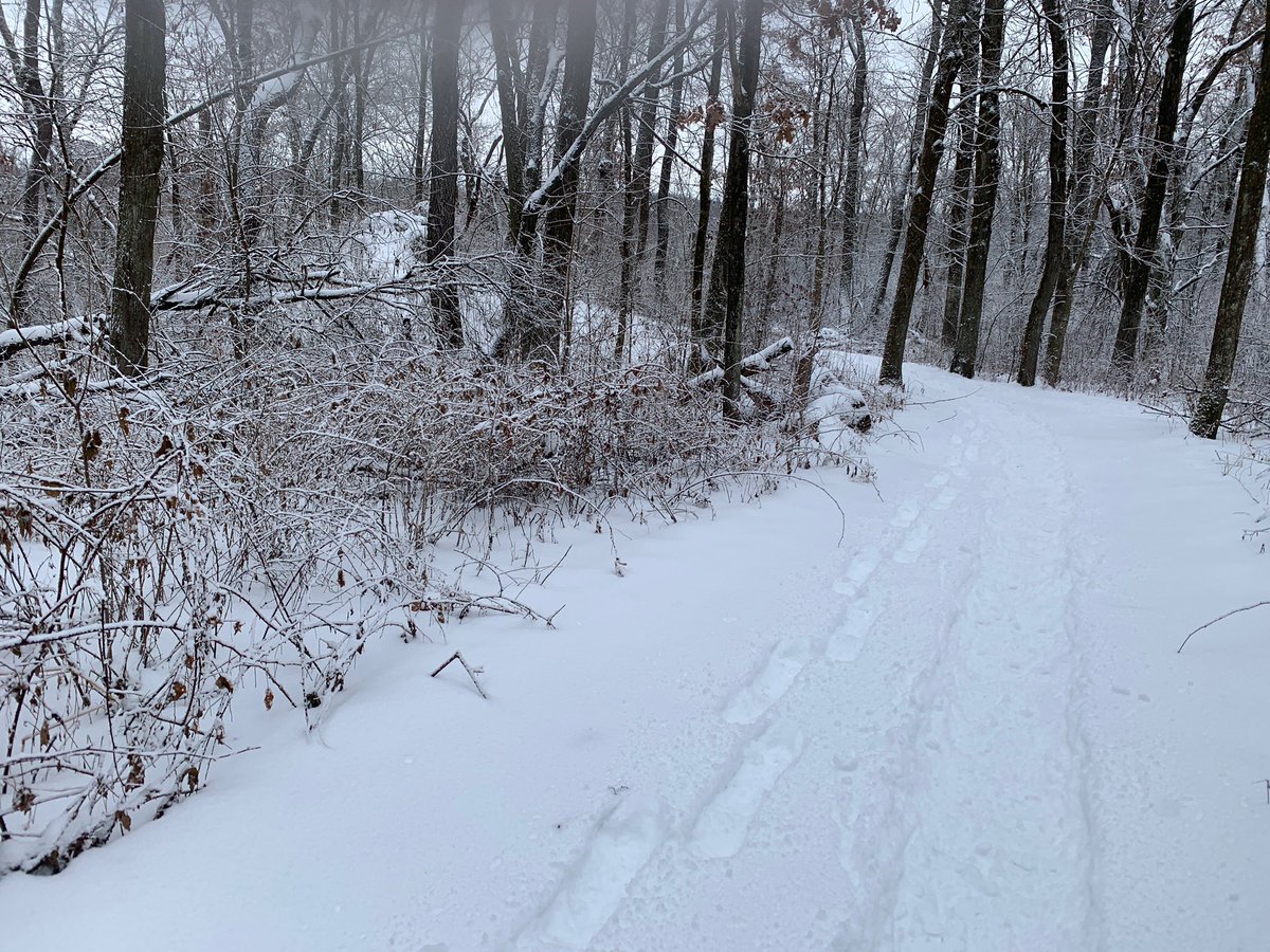 Jeff_Jacobson84's tweet photo. Mi Esposa taking on  winter with a new sport. Me taking on winter https://t.co/5F5FpuHesK