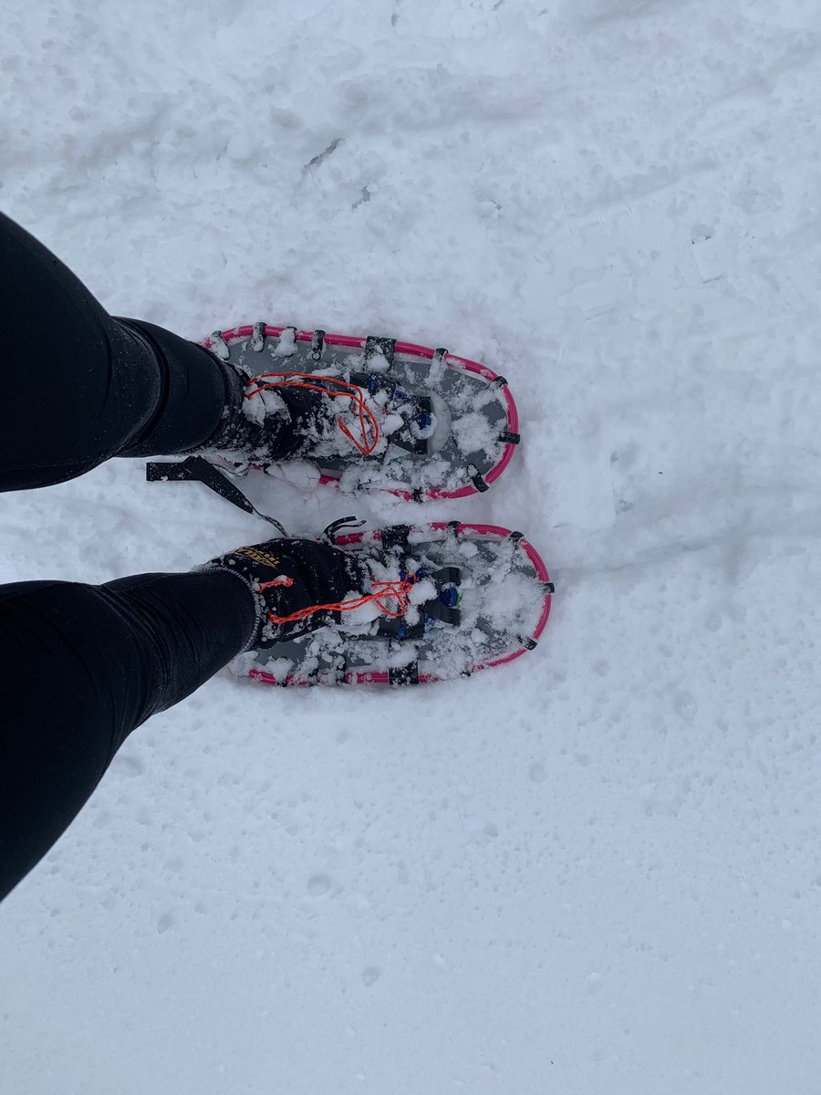 Jeff_Jacobson84's tweet photo. Mi Esposa taking on  winter with a new sport. Me taking on winter https://t.co/5F5FpuHesK