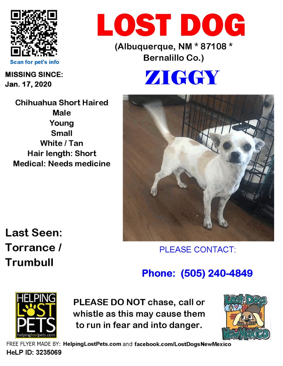 🛑🛑 #LOSTDOG #Ziggy #Albuquerque (Torrance / Trumbull) #NM 87108 #Bernalillo Co. , #Lost #Dog 01-17-2020!, Small / Young / Male / #Chihuahua Short Haired / White / Tan facebook.com/LostDogsNewMex…