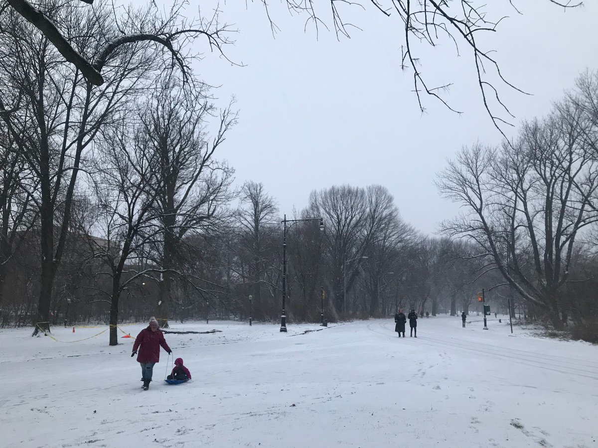 City of New York tweet media
