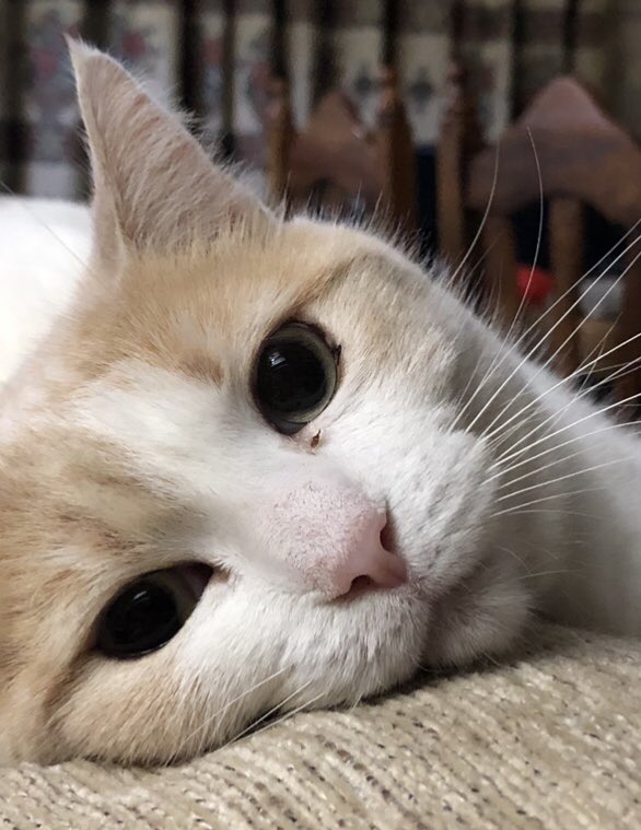 pilmartolm's tweet photo. https://t.co/ad8BCaPwkV