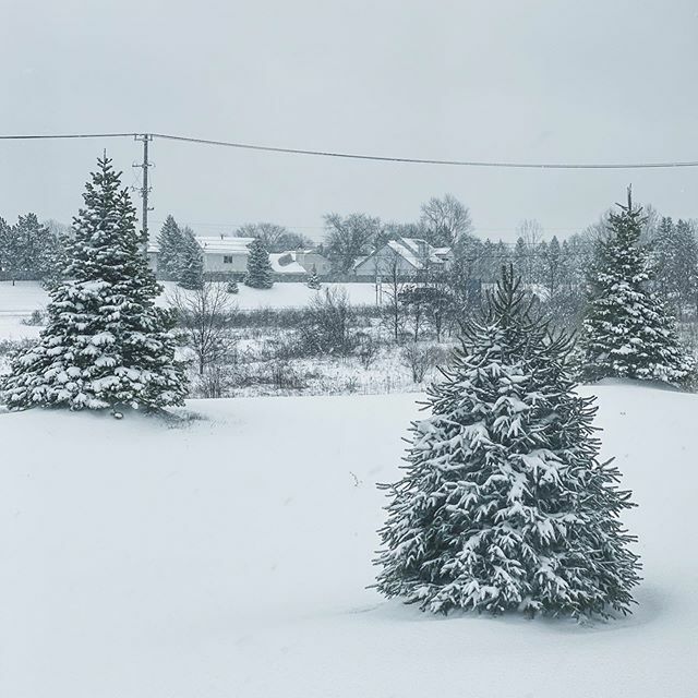 R_Avanse's tweet photo. Aquele dia da preguiça ! #snowday .
.
.
.
.
#ravansephoto  #snowy #winter #photography #snow #trees #nature #naturephotography #snowytrees #landscape #snowday #snow #worldshares #landscapephotography #explore_destinations #explore_destinations_ #explore_… https://t.co/v9u3LiBexs https://t.co/MhVgulhokb