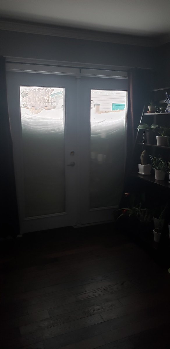 coreyputtable's tweet image. #yyt