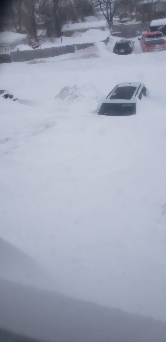 coreyputtable's tweet image. #yyt