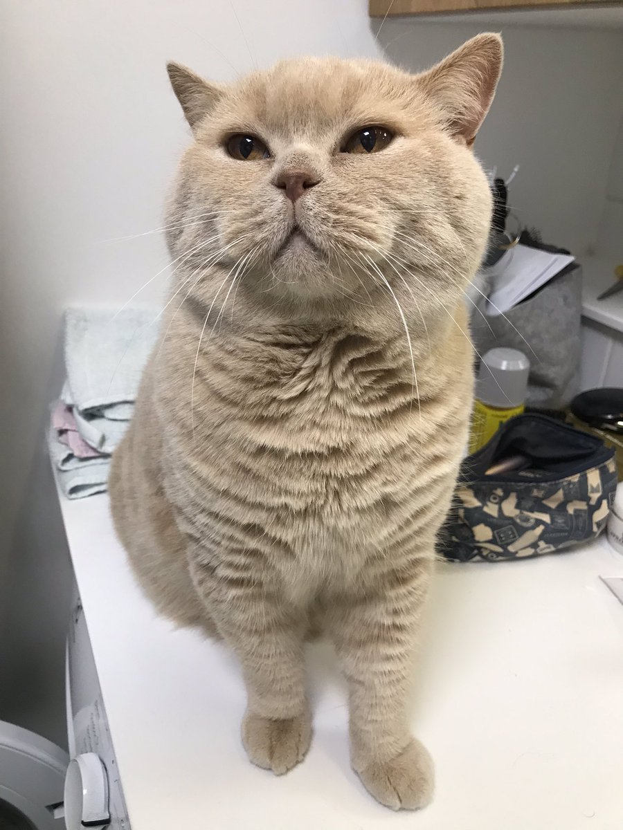 Jasmina 🌻💙💛 tweet media