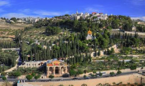 jratkins's tweet photo. What exactly is the "Mt of Olives?" Come see for yourself in May.
https://t.co/9zPdF5Um97 https://t.co/8xYFoz90wg