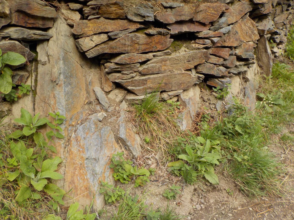 aardfully's tweet image. Work with nature.