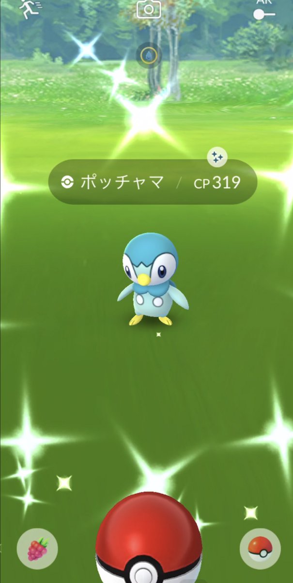 ポケモンgo速報 ポッチャマ色違いが出現開始 コミュニティデイ開始後の様子 ポケモンgo攻略まとめ速報 ポケモンgo速報 ポッチャマ色違いが出現開始 コミュニティデイ開始後の様子 ポケモンgo攻略まとめ速報