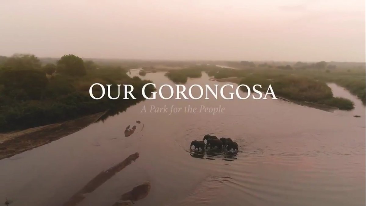 GorongosaPark's tweet photo. Tonight! The world festival premiere of “Our Gorongosa: A Park for the People"  - a 2020 Official Film Selection for the 18th Annual @WildScenicFilms Festival in Grass Valley and Nevada City, CA. The film shows at 7 p.m. PST! #WSFF2020 #environment https://t.co/OiNJRy9GZg
