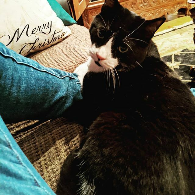 Sandy Hogan tweet media