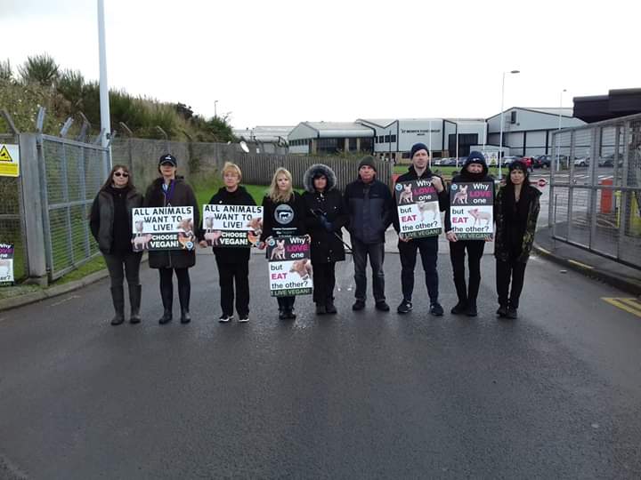 SWAnimalSave's tweet image. Last weeks vigil outside St Merryns Slaughterhouse in Merthyr. #southwalesanimalsave #bearingwitness #meatismurder #GoVegan