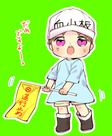 幼児セレクション 