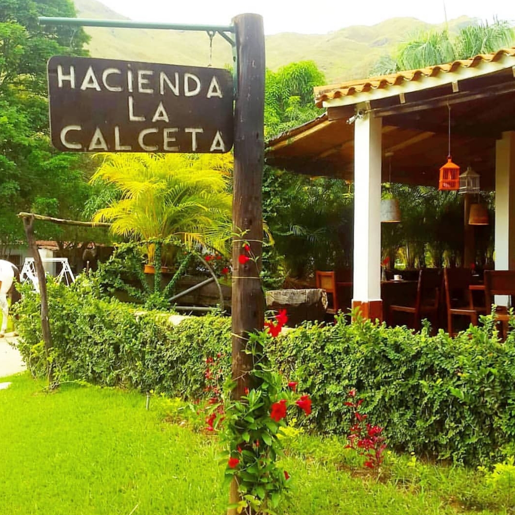 GrupoEscala's tweet photo. Hacienda la Calceta, un lugar paradisíaco en #Bejuma, que ofrece paz, tranquilidad y armonía vital, donde te podrás desconectar de la cotidianidad, contáctanos a través de info@escala.com.ve #Venezuela #Vacaciones #GrupoEscala #Turismo https://t.co/CUyPp8Ao1n