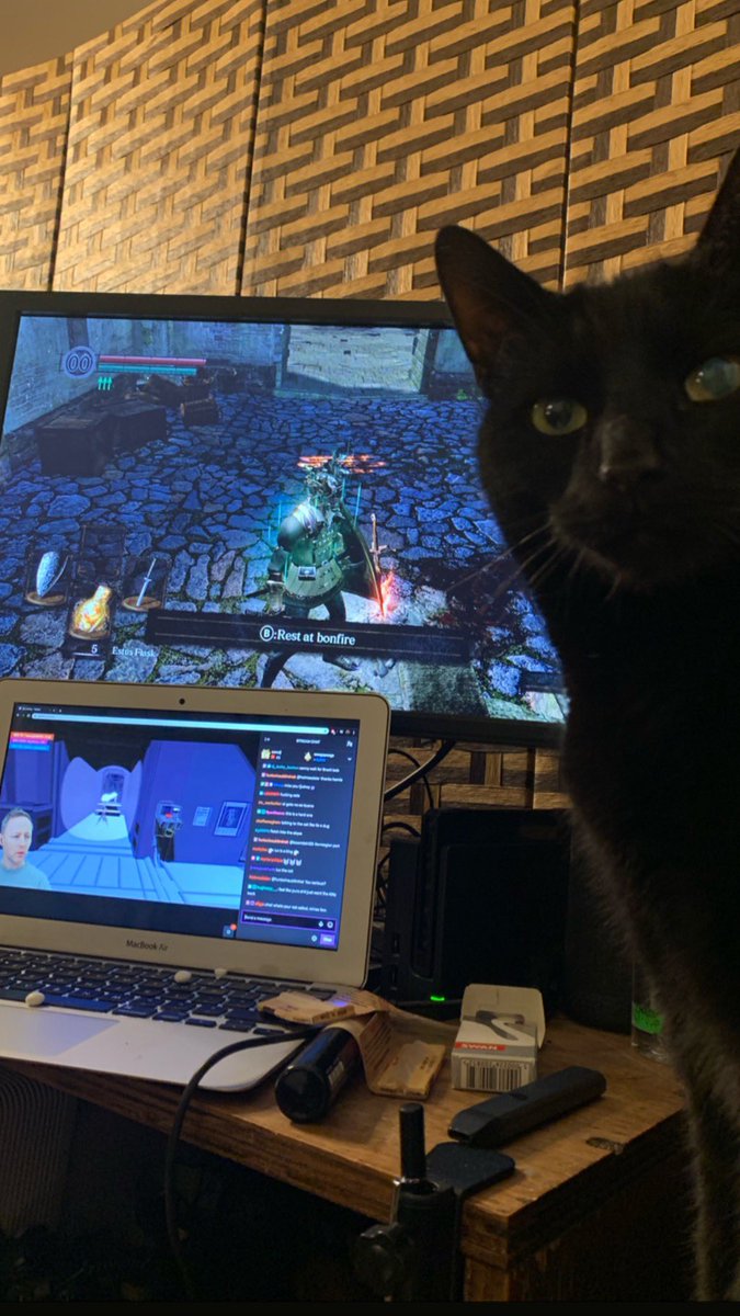 Judgement Cat. #darksouls #limmy #twitchtv #cat #thisismysaturdaynight