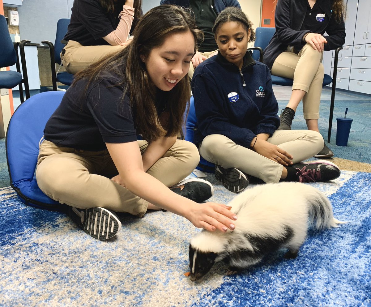 SheddLearning's tweet photo. From diving to designing, teens in #SheddTeenWorkStudy and #SheddTeenLab learned about jobs at the aquarium. Some of them even got to meet Violet, the skunk! https://t.co/EhqFgpQwoq