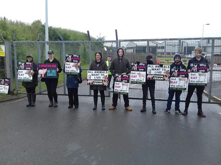 SWAnimalSave's tweet image. Vigil at St Merryns slaughterhouse  Merthyr. 
#bearingwitness #meatmeansmurder #meatismurder #GoVegan
