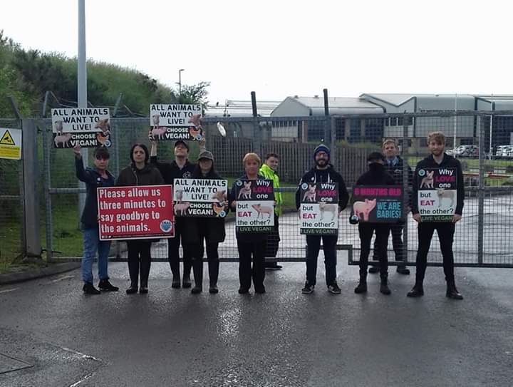 SWAnimalSave's tweet image. St Merryns slaughterhouse Merthyr. #bearingwitness #southwalesanimalsave #GoVegan