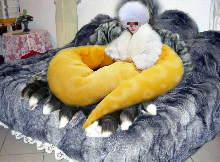 annesnakequeen's tweet photo. Enjoying myself in my fur den while wear fur and snake tail. 
I love to wear fur since I was teenager, it's make me feel warm and good, so I started to wear and collect fur. 
My collection has gotten bigger since then. https://t.co/e2aYRZONqg
