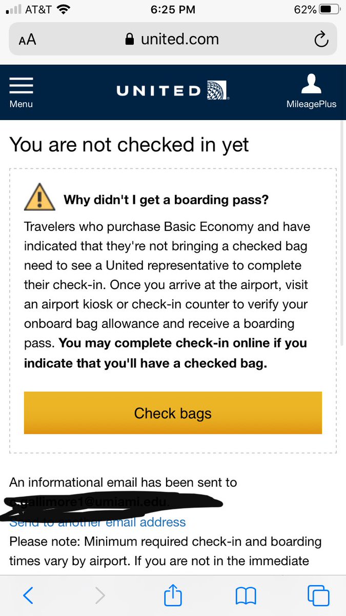 united airlines baggage fees pay online