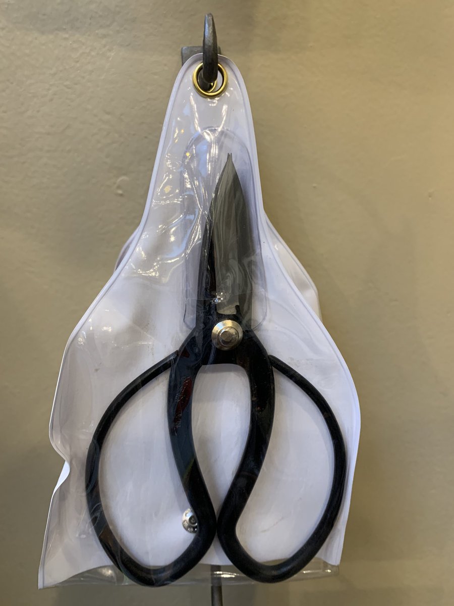 Pruning scissors I think