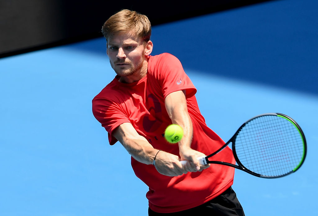 David Goffin. 