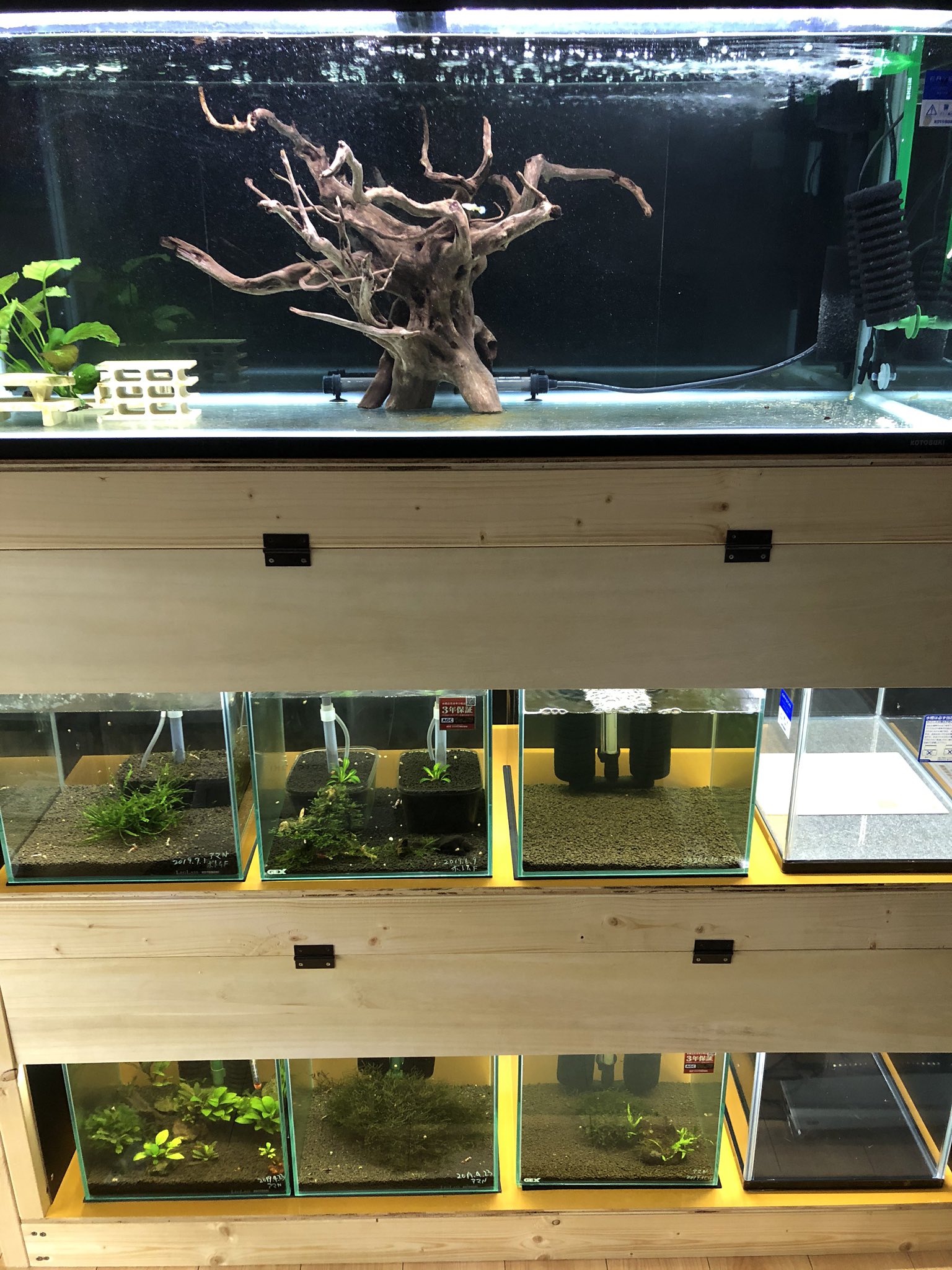 蜜柑海老 作成していたのは水槽棚の前蓋でした まだまだ改良 アップデートしていきます 趣味にdiyが加わった気がしてます 笑 蜜柑海老 水槽台 水槽台自作 水槽台diy Diy 水槽棚 前蓋 照明隠し 蝶番 丁番 1cm水槽 レッドビーシュリンプ