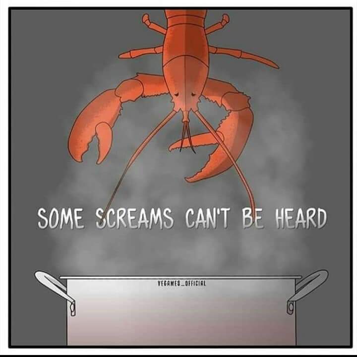 CardiffARG's tweet image. PLEASE SIGN &amp;amp; SHARE. WE ONLY HAVE A FEW MORE DAYS TO GET AS MANY SIGNATURES AS WE CAN.
                       🦞 🦐 🦀 🦂
Please sign our petition to the Welsh Government to implement greater protection for crustaceans

assembly.wales/en/gethome/e-p…