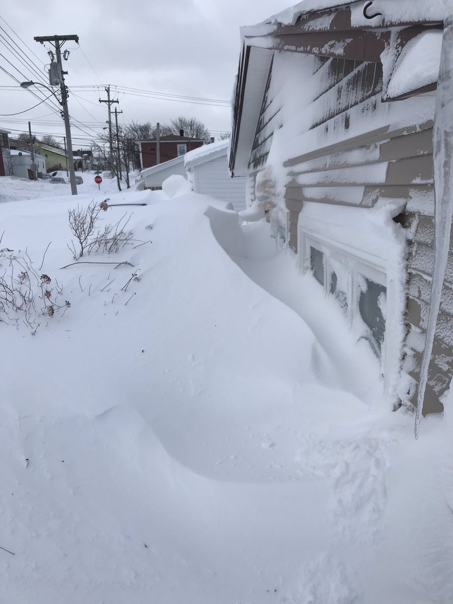 Ginger_NL's tweet photo. If anyone in #Rabbittown is able to assist with snow clearing tomorrow (Sunday), please DM me. I’m at a loss 🤷♀️ #nlwx #stormageddon2020 #NLblizzard https://t.co/b3eDowAVaw