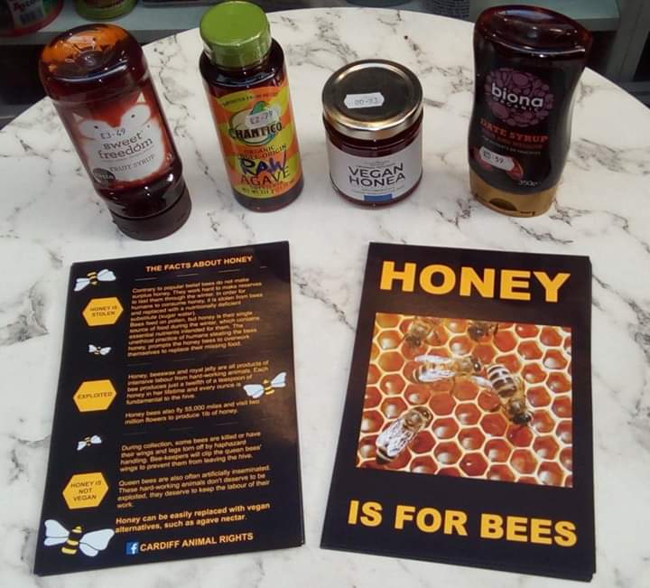 CardiffARG's tweet image. We are excited to say we have a new leaflet! 
Honey is not vegan. 🐝🐝🐝🐝
Our leaflets are also available as a PDF if you have vegan printing facilities. If you run a local vegan business and would like some just let us know
#Honey #Bees #Vegan #AnimalRights #CardiffAnimalRights