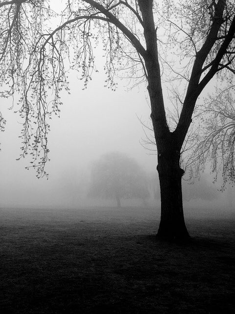 History_Express's tweet image. According to Macedonian folklore, if you were born on Saturday you have the gift of being able to see ghosts, and even being able to influence vampires. 👻