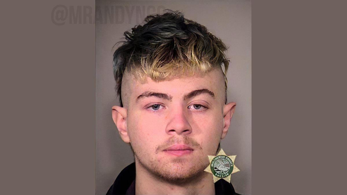 Billy Ellison, now-21, was arrested & charged in connection with the Nov. 2016 Portland antifa riots. He was found carrying a large knife & a gas mask when he was arrested at the Inauguration Day 2017 riot, police say. More details:  https://www.patreon.com/posts/33265423   #Antifamugshots
