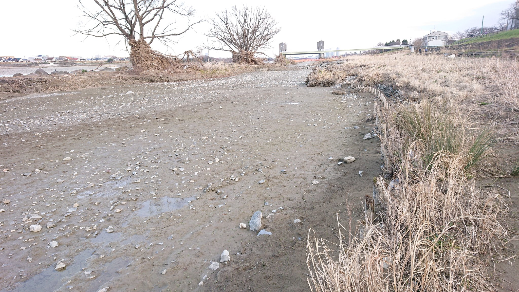 あべま 鮒釣りしてた登戸のラブホ池が台風で埋まっていた 多摩川 登戸 ラブホ池 T Co Gbrfddcguw Twitter