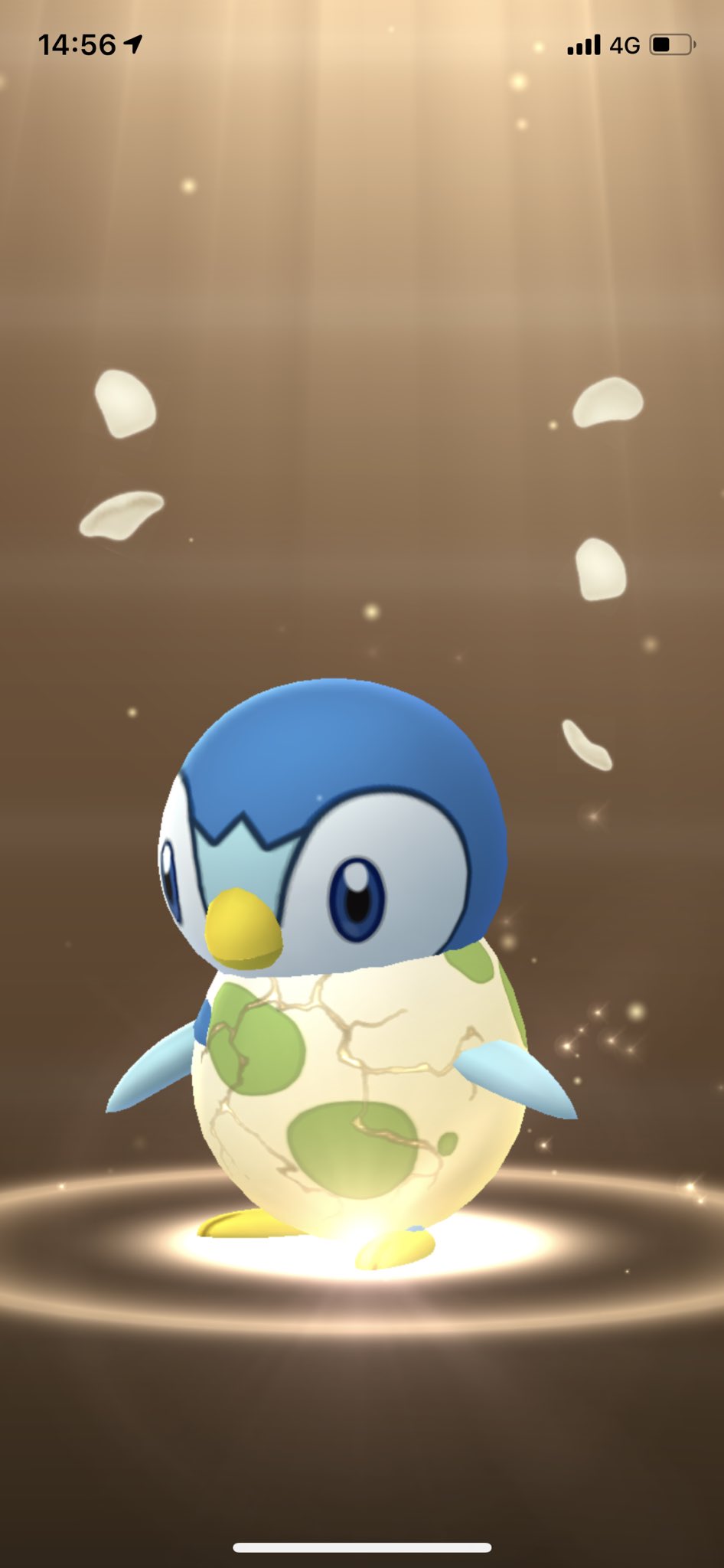 岸田シロ トゲピーぶってるポッチャマ ポケモンgo T Co 0hkuap9uip Twitter 岸田シロ トゲピーぶってるポッチャマ ポケモンgo T Co 0hkuap9uip Twitter