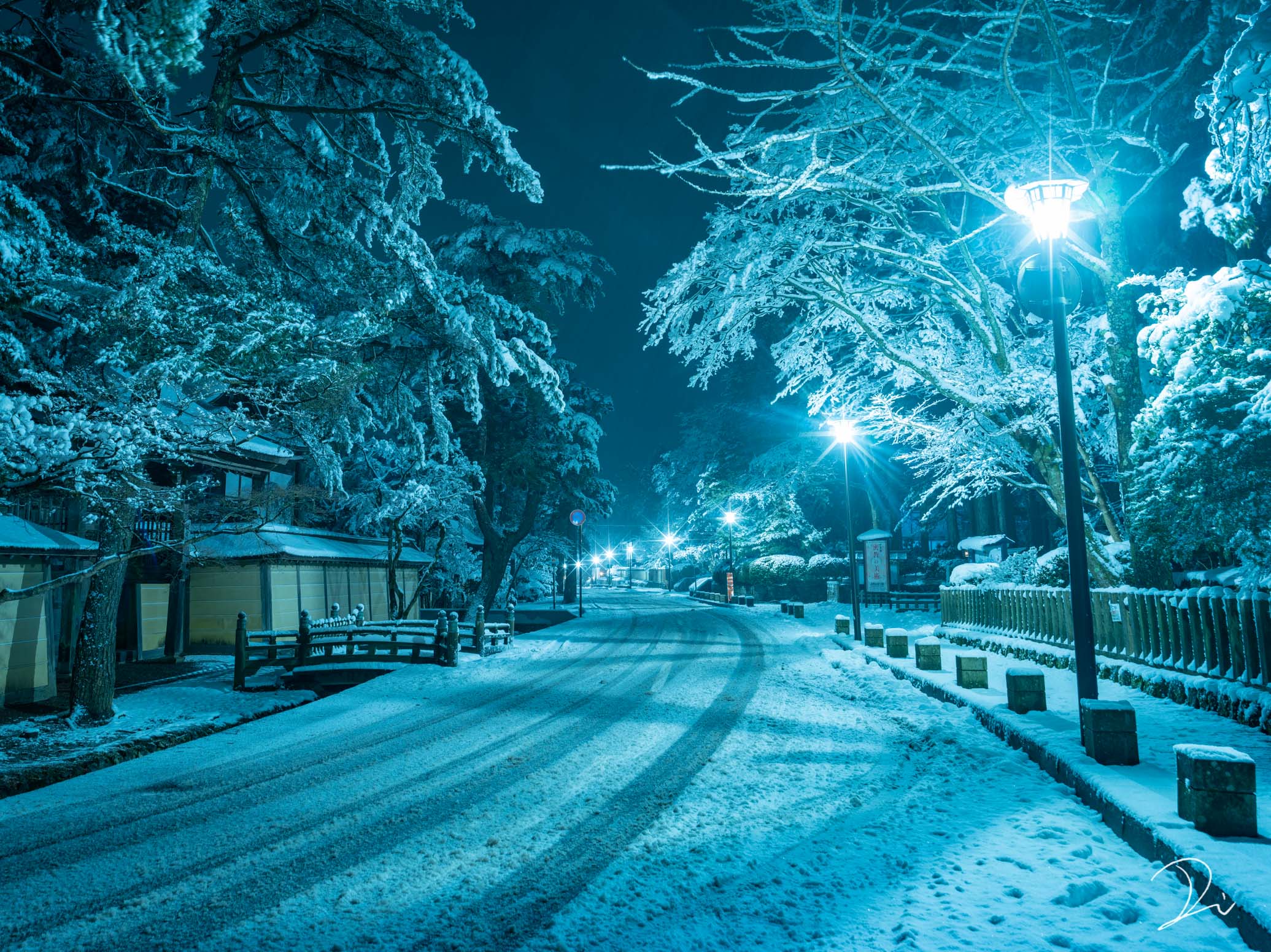 331.モノトーンな雪景色in高山本線 2015/2/11: 「はなぶさ」に
