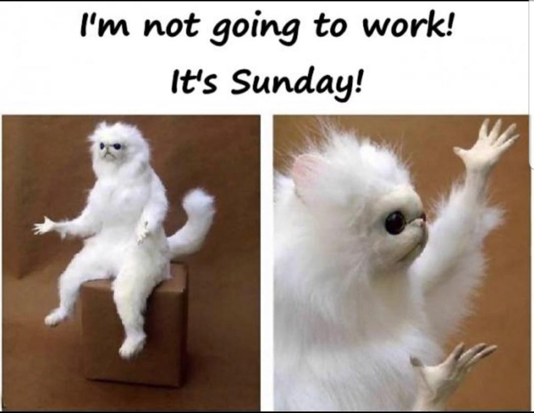 Ramon Sean Antonio Thomas (Ramonski) (@39b1c381f82740f) on Twitter photo 