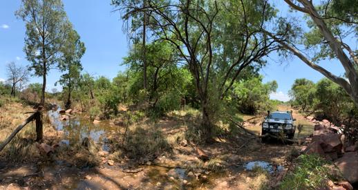 LeopardCon's tweet image. The new year begins with some water challenges to retrieve our cameras.